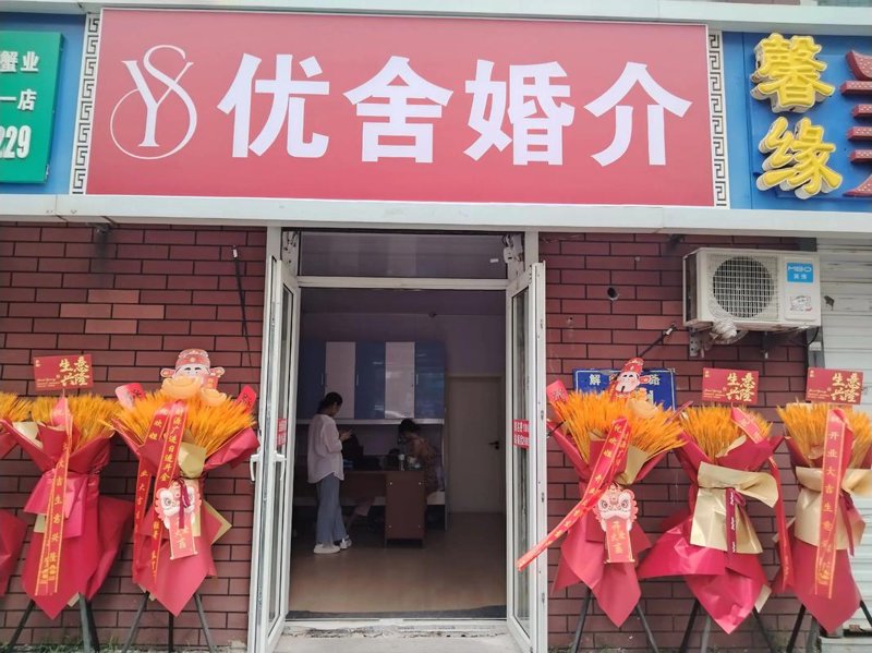 寻找另一半：婚恋介绍服务的案例分析